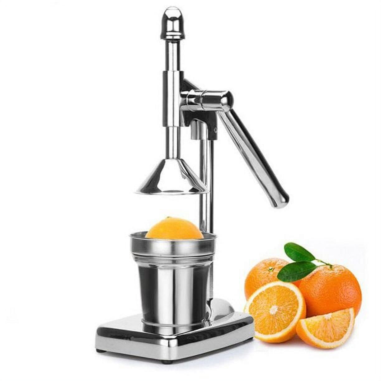 Fruit Juicer